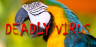 parrot deadly virus